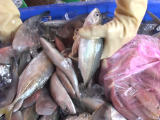 Ăn sạch - Sống khỏe: Đi tìm thực phẩm sạch đích thực