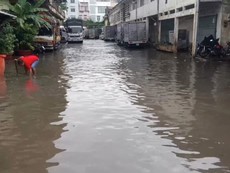 Nhiều tuyến đường cửa ngõ phía Tây TP.HCM bị ngập