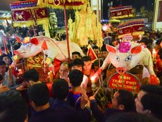 'Ông lợn' từ khi nuôi đến khi rước ở lễ hội La Phù