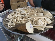 Bắt giữ lô hàng nhẫn, vòng đeo tay làm từ ngà voi