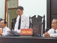 Giây phút 5 bị cáo được tuyên trắng án trong vụ cưa cây gỗ khô