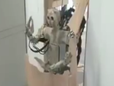 Không nhịn được cười với những chú robot phiên bản lỗi