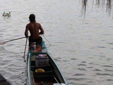 Cá, rùa vừa phóng sinh đã bị ‘vợt’ ngay trên sông