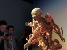 Khám phá 'Sự bí ẩn đặc biệt của cơ thể người'