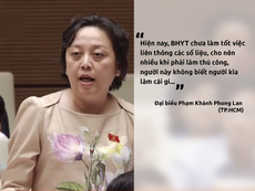Đại biểu Phong Lan tranh luận với tổng giám đốc BHXH VN