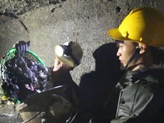 Bạn trẻ TP.HCM trải nghiệm chui cống, dọn rác