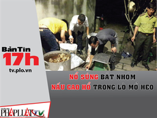 Bản tin 17h:Nổ súng bắt nhóm nấu cao hổ trong lò mổ heo