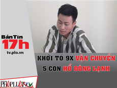 Bản tin 17h: Khởi tố 9X vận chuyển 5 con hổ đông lạnh