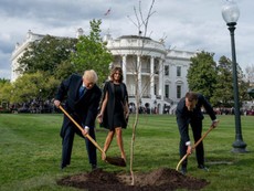 Clip: Tổng thống Trump và Macron cùng trồng cây tại Nhà Trắng