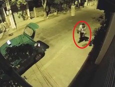 Camera ghi cảnh taxi trộm cây cảnh trong đêm