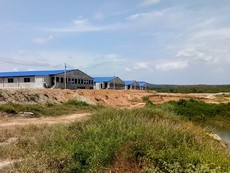 Trại heo rộng 14,000 m2 đe dọa ô nhiễm nguồn nước hồ Trị An