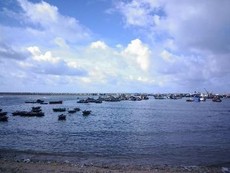 Tìm kiếm CASA 212: Huyện đảo Bạch Long Vĩ huy động tổng lực