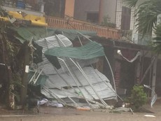 Quảng Bình: Nhiều nhà dân bị tốc mái, cây cối gãy đổ