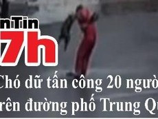 Bản tin 17h: Chó dữ tấn công 20 người trên đường phố