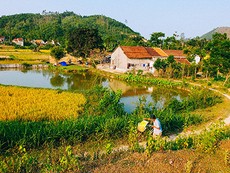 ‘Dân làm ra vẻ đẹp Tam Kỳ chứ ai!’