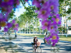 Chùm ảnh TP Tam Kỳ 'đẹp ngất ngây'
