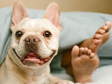Buồn cười với những trò ngổ ngáo của động vật
