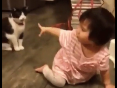 Cười tít mắt với em bé bị chú mèo chơi khăm