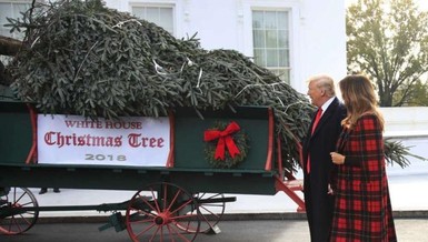 Lần đầu tiên ông Trump đón cây thông Giáng sinh cùng phu nhân