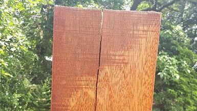 Đường đi bộ gỗ lim tiền tỉ ở Huế xuất hiện nhiều vết nứt