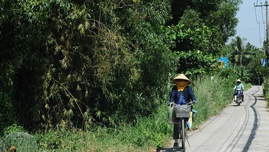 TP.HCM: Tiếp tục rà soát, bỏ dự án treo