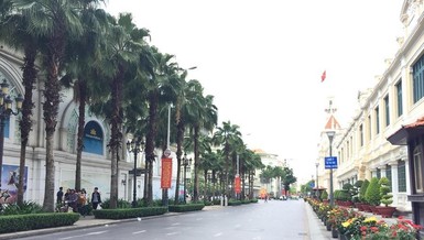 TP.HCM tăng cường quản lý người ăn xin dịp Tết