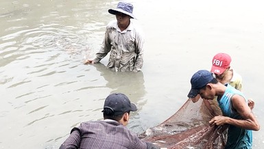 Người dân xã Đa Phước thu hoạch gần 2 tấn cá