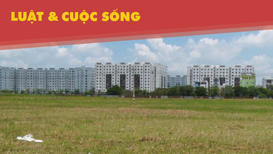 Cư dân phản pháo kết luận ô nhiễm chung cư do cỏ bông lau