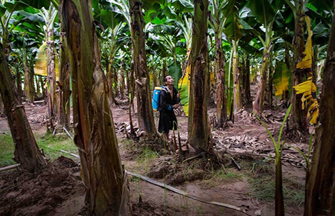 Người Trung Quốc thao túng miền Bắc Lào