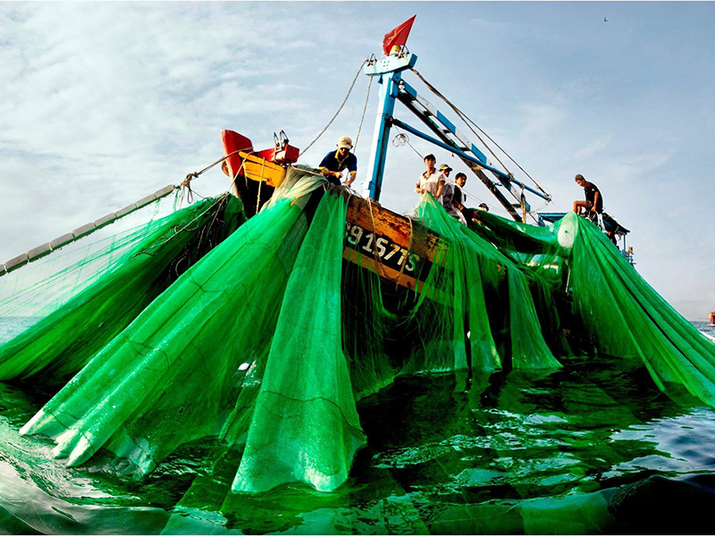 Lại muốn đổ 1 triệu m3 bùn, cát xuống biển Bình Thuận