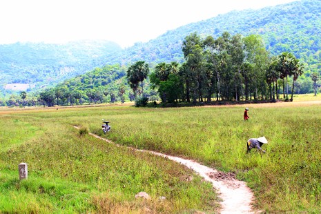 Về An Giang, uống càphê 4.000, ăn cá lóc 20.000 đồng/kg - ảnh 10
