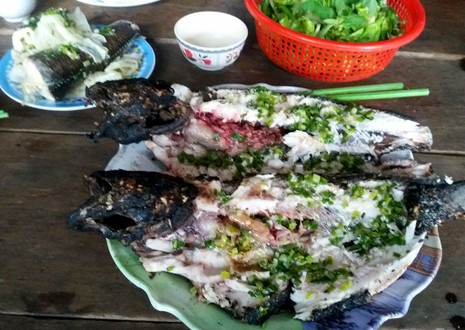 Về An Giang, uống càphê 4.000, ăn cá lóc 20.000 đồng/kg - ảnh 3