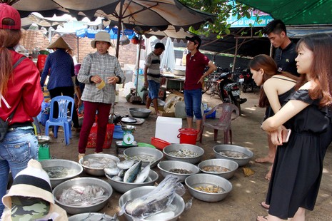'Chảy nước miếng' với chợ hải sản ở Hồ Tràm - ảnh 9
