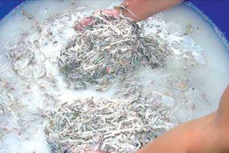 Bán yến giả coi chừng bị đi tù  - ảnh 1