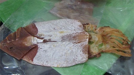 Hướng dẫn cách nhận biết khô mực giả - ảnh 1