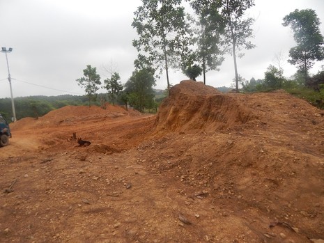 Bức tử thông là do... cam không kết trái? - ảnh 1