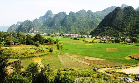 Về thăm nơi mẹ con anh Kim Đồng yên nghỉ - ảnh 2