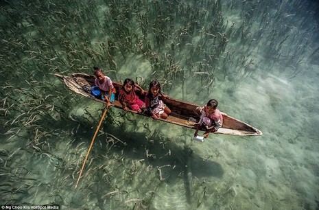 Khám phá cuộc sống như ở xứ sở thần tiên của người Bajau - ảnh 14