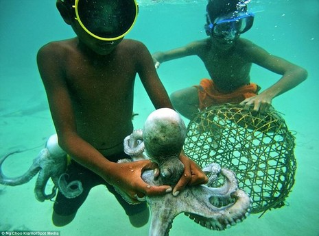 Khám phá cuộc sống như ở xứ sở thần tiên của người Bajau - ảnh 4