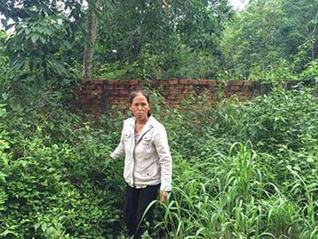 Hết cảnh ‘rượt đuổi’ bị đơn để tìm địa chỉ - ảnh 1