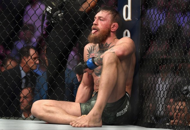 Khabib đánh bại McGregor, đánh luôn đội của đối thủ
