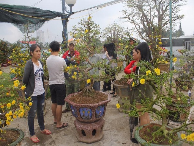 Mưa lớn, Đà Nẵng giảm 50% phí thuê mặt bằng chợ hoa