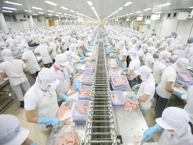 Bình chọn 100 xuất “chất lượng vàng thủy sản”