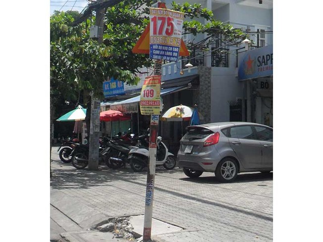 Biển báo giao thông bị che khuất