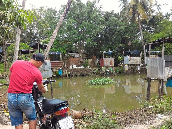 Dựng cầu tõm giữa thị trấn để nuôi cá
