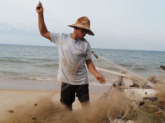 Ngư dân khổ vì cá nóc xuất hiện nhiều bất thường