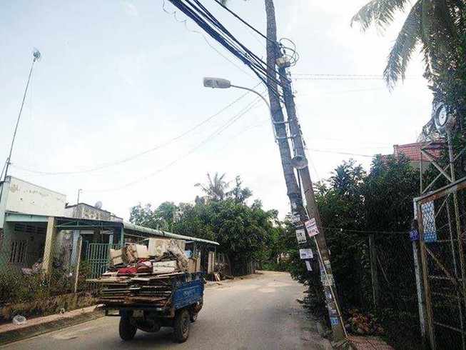 Cột điện dựa cây dừa