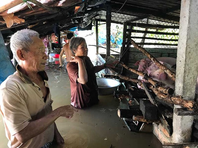 Vỡ bờ bao sông Hậu, nhà dân chìm trong nước