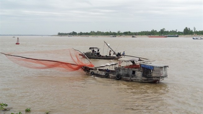 Thiếu bến đậu, hàng trăm tàu thuyền lênh đênh giữa sông Tiền