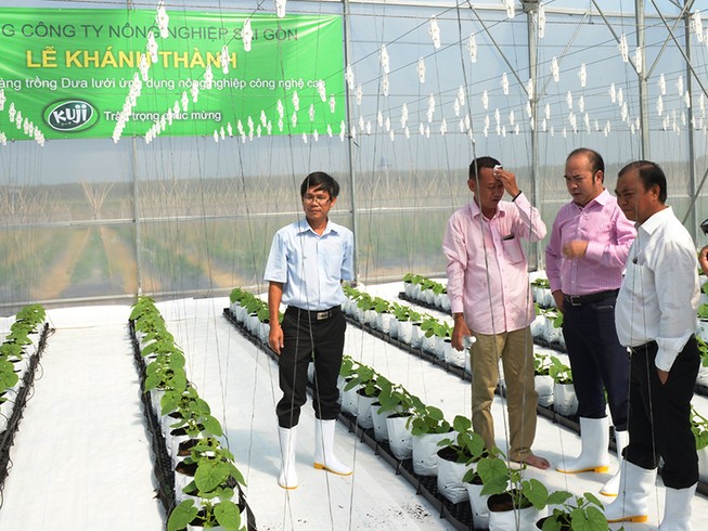 Về hợp đồng đưa người của SAGRI du lịch nước ngoài